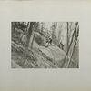 Surveys.  Precise measuring and leveling on the side of Storm King mountain. May 10, 1907.