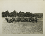Police. Kensico, N.Y. Patrolmen-on-Aqueduct.  Troop of mounted policemen in 'columns of fours'. September 15, 1914.