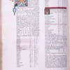 Large gold initial with white vine stem. Smaller gold initial on pink and blue field. Gold rustic capitals on red fields