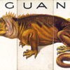 Iguana.