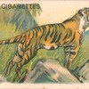 Tiger.