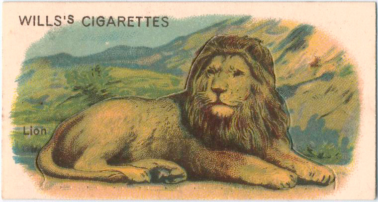 Lion. - NYPL Digital Collections