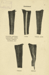 Norway and Sweden, 1905-1909