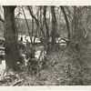 The Wilderness near Chancellorsville.