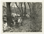 The Wilderness near Chancellorsville.