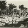 Barbed-wire Entanglements near Santiago.
