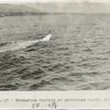 Submarine at periscope depth in Bantry Bay.