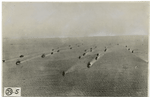 Convoy as seen from the air.