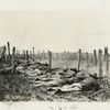 National Guard in training at Fort Sill, Okla.