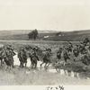 Infantry on the march.