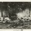 American troops learning to make a night attack.