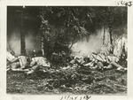 American troops learning to make a night attack.