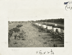 Supply train of the 79th Infantry Brigade at Del Mar, California.