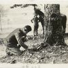 Training in use of Signal Corps equipment.