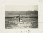 Training in signalling at Camp Taylor, Kentucky.