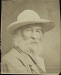 Walt Whitman, Brooklyn, 1870-1871.