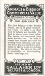 Cow and calf.