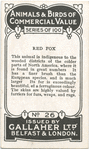 Red Fox.