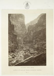 Report upon United States Geographical surveys west of the one hundredth meridian