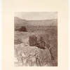 Plateau, north of the Grand Cañon.  Colorado River Series.  No. 40.