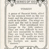 Turkey.