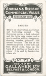 Badger.