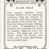 Black Bear.