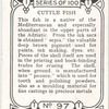 Cuttle-fish.