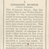 Common Shrew.