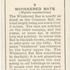 Whiskered Bats.