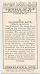 Whiskered Bats.