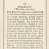 Polecat.