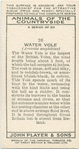 Water Vole.