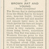 Brown Rat and young.