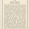 Red Deer.