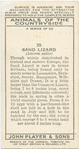 Sand Lizard.