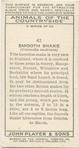 Smooth Snake.