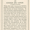Adder or Viper.