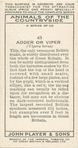 Adder or Viper.