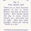 The Great Bat.