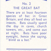 The Great Bat.
