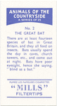 The Great Bat.