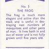 The Frog.