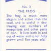 The Frog.