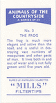 The Frog.