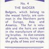 The Badger.