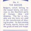 The Badger.