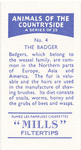The Badger.