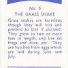 The Grass Snake.