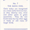 The Barn Owl.
